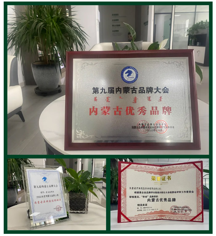 【喜报】朴珍品牌荣获“内蒙古优秀品牌”殊荣_02.jpg