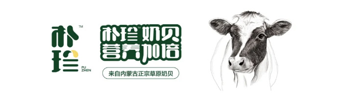 携手共筑冰雪梦想丨朴珍荣耀携手2024呼和浩特国际青少年冰球盛宴_06.jpg